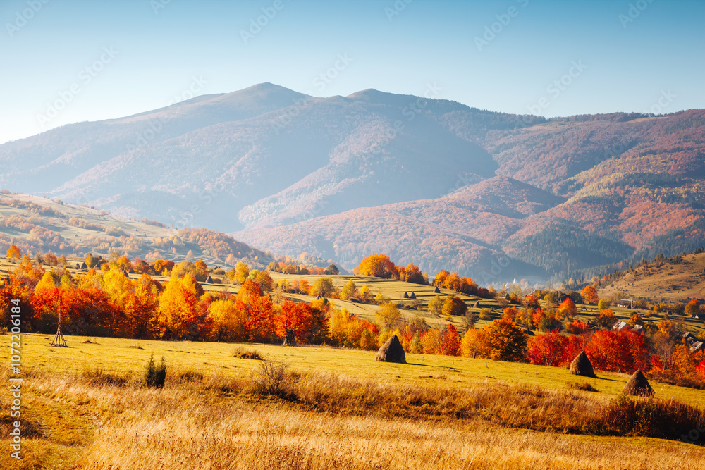Poster a breathtaking place in the autumn mountains with colorful trees in the warm rays of the sun. carpat