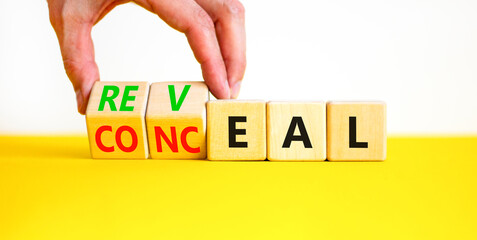 Reveal or conceal symbol. Businessman turns wooden cubes and changes word Conceal to Reveal. Beautiful yellow table white background, copy space. Business reveal or conceal concept.