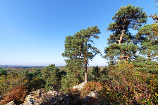 Camp de Chailly point of view in Fontainebleau forest