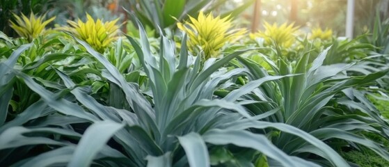 Obraz premium Vibrant yellow flowers blooming in a lush green garden