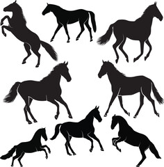 Set of silhouettes of horses. Isolated black silhouette of galloping, jumping running, trotting, white background. black vector, eps files