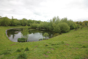 Queens Hill Costessey Norwich, United Kingdom, April 24, 2024. Views from Queens Hill Forest