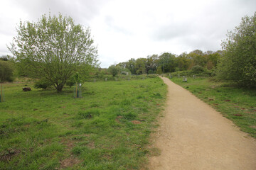 Queens Hill Costessey Norwich, United Kingdom, April 24, 2024. Views from Queens Hill Forest