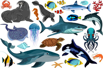 Large set of sea animals.Vector color set of sea animals on a transparent background.