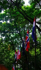 Flagi najróżniejszych krajów z całego świata. Park i różne flagi państwowe.  © Adam