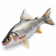 Fototapeta premium Fresh fish fry on a white background, crispy and golden