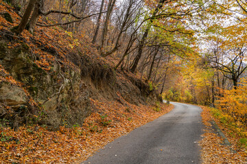 Collapse of the road. Condition of the road to water erosion