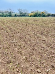 Rural English countryside ploughed field background in the autumn