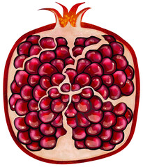 Digital drawing pomegranate cut burgundy red color graphics food tropical fruit clip art isolated hand drawn graphic stylized painting detailed realistic cartoon