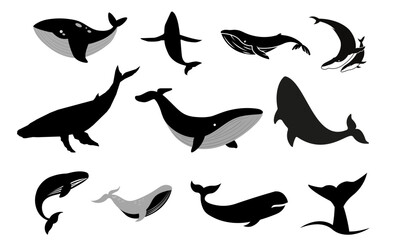 Fototapeta premium Whales, blue whale silhouette, blue whale icon set, whale vector.