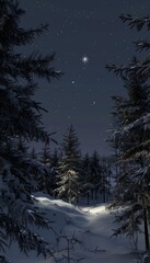 Tranquil winter night in a snow covered pine forest with a single shining star above