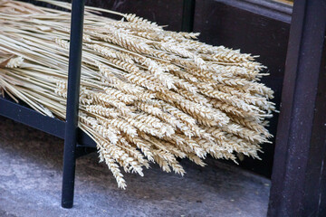 
a parched white sheaf of grain
