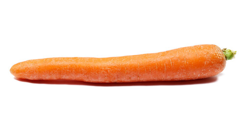Carrot isolated on white, side view