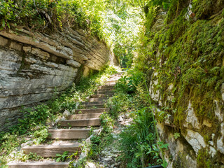 Sheer cliffs frame ancient ruins, reminiscent of past greatness, creating a mystical atmosphere and...