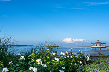 Flowers in summer against the pavilion at Haapsalu seaside on the Baltic Sea, Estonia