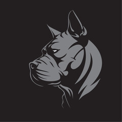 Fototapeta premium Bull Dog