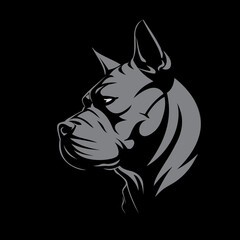 Obraz premium Bull Dog