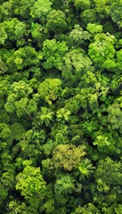 Naklejka premium Aerial view of lush forest illustrating nature s role in carbon capture and sustainability efforts