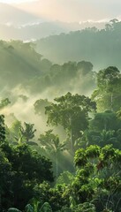 Fototapeta premium Aerial view of a lush forest emphasizing its role in co2 capture for carbon neutrality efforts