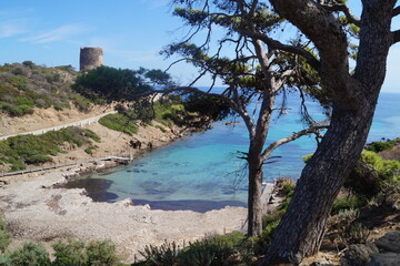 Sardegna