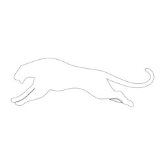 Panther silhouette. Panther silhouette vector white background