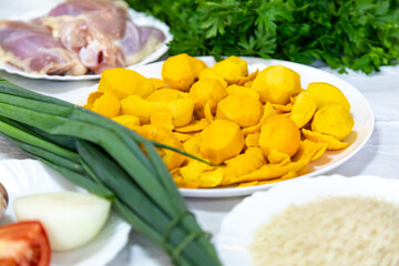 Traditional and exotic Brazilian dish rice, chicken and pequi (caryocar brasileinse) 