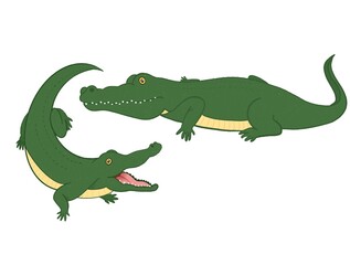 isolated illustration of two crocodiles print for kids