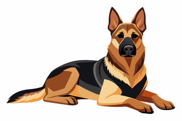 Fototapeta premium Shepard dog isolated on white background vector art illustration