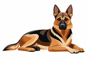 Shepard dog isolated on white background vector art illustration
