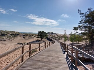 path to the beach