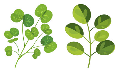 Fototapeta premium Vibrant Green Leafy Plants Isolated on White Background, Showcasing Detailed Texture and Natural Form for Use in Various Design Projects and Illustrations