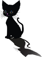 black kitten with shadow isolated on white