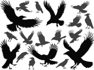 set of eighteen crow silhouettes isolated on white