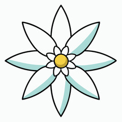 Edelweiss flower. Flat illustration white background