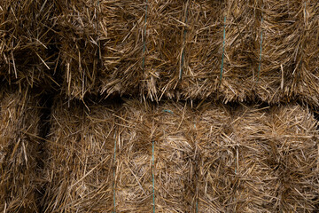 Straw bale background, full frame.