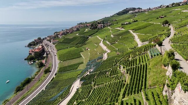 Aerial view of vineyards by Lake Geneva, Switzerland