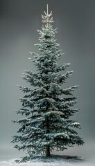 Fototapeta premium Majestic christmas tree with generous copy space for promotional material and album covers