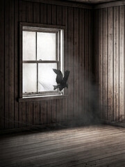 Raven in empty room
