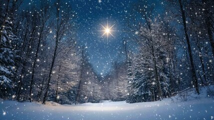 Naklejka premium Serene winter night with snow-covered trees, falling snowflakes, and a bright shining star in a deep blue sky, creating a peaceful holiday atmosphere