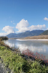 Island 22 Regional Park along Fraser River during a fall season in Chilliwack, British Columbia, Canada.