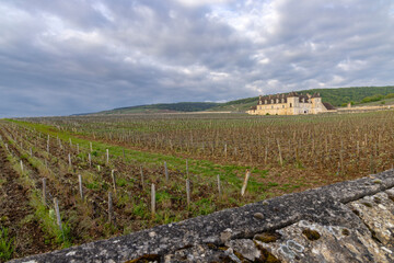 Typical vineyards near Clos de Vougeot, Cote de Nuits, Burgundy, France