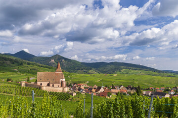 Typical vineyard near Hunawihr near Ribeauville Riquewihr, Haut-Rhin, Region Grand Est, Alsace,...