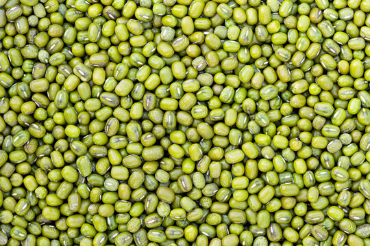 Raw seeds of Vigna radiata, Mung beans