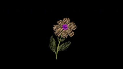 Scribble Flower Plants Animation. Doodle Scribble Floral Plant Grow Animation, Yellow Scribble Flower With Green Leaf Animation On Alpha Channel Animation 