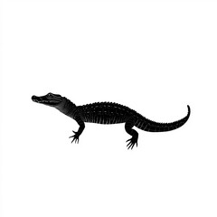 Naklejka premium Alligator Silhouette, Illustration Isolated On White Background