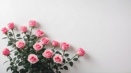 Pink roses in lower corner on blank white wall mockup background