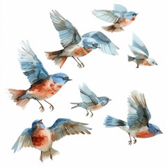 Obraz premium A colorful watercolor illustration of flying bluebirds in various poses and angles.