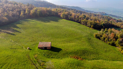 Vista aerea dei coloratissimi boschi e prati sull'Appennino modenese durante una soleggiata giornata di autunno