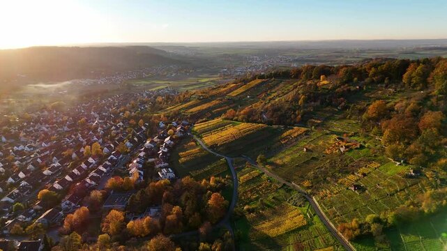 Aerial footage of panning over beautiful autumnal vineyard and small town in Southern Germany at sunset
