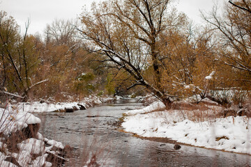 river in winter forest